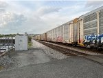 PW 102597